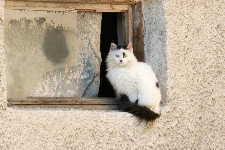 Bulgaria, October 2025